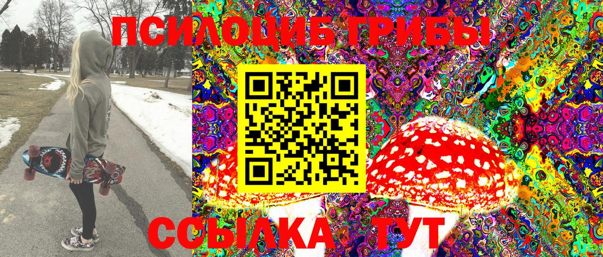 Галлюциногенные грибы Psilocybe  хочу наркоту  Кимры  Вход с VPN 